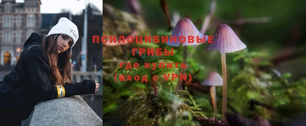 крисы Балахна