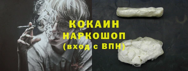 крисы Балахна