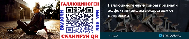 Псилоцибиновые грибы мухоморы  купить   Барыш 