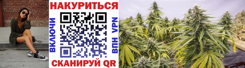 Бошки Шишки ГИДРОПОН  darknet как зайти  Барыш  что такое  